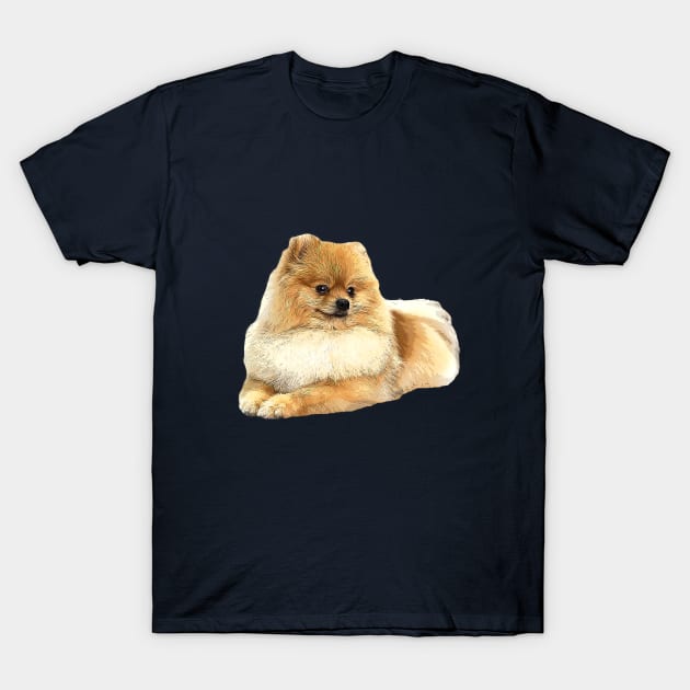 Pomeranian Puppy Dog T-Shirt by ElegantCat